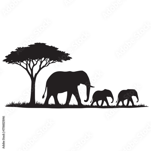 Silhouette of elephants in the savanna