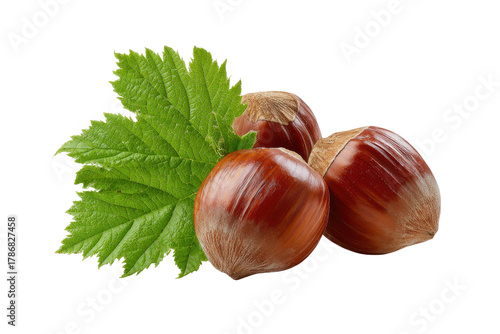 Three whole hazelnuts with green leaf on black background food ingredient 1, Png, Isolated on Transparent Background, Cut Out