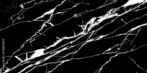 "Elegant black marble texture with striking white veins. Perfect for backgrounds, modern interior design, luxury product mockups, and digital graphics requiring a high-contrast natural stone effect"	
