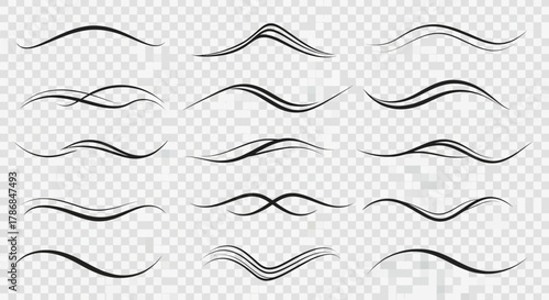 Elegant flourish elements and decorative swirls add sophisticated style to any design project, enhancing visual appeal with graceful lines