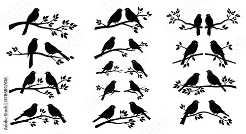Charming silhouette collection features pairs of adorable birds perched on delicate branches, perfect for adding a touch of nature's elegance to any design project.