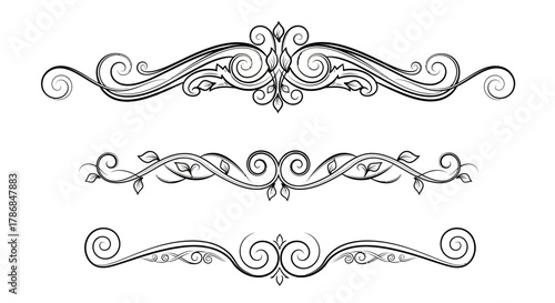 Elegant ornamental dividers with swirling vines and leaves add sophisticated decorative flair to any design project