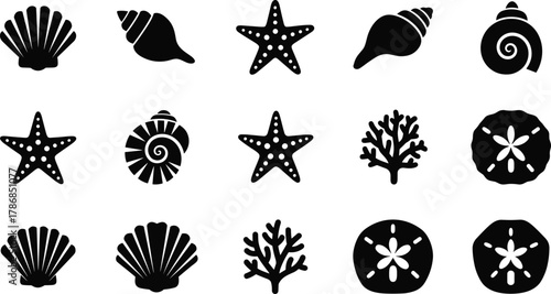 Sea shells, starfish, corals, and sand dollar silhouettes, marine life vector icons, ocean nature illustration, beach elements collection, underwater wildlife design