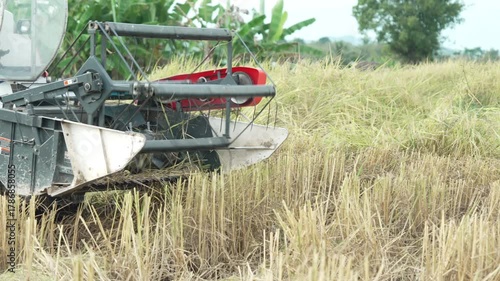Autumn is rice harvesting time in Thailand. A close tight front view of a rice harvester machine in action	