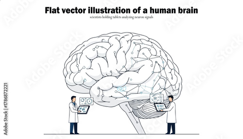 Illustration of a human brain with two scientists analyzing data, depicting neural activity.