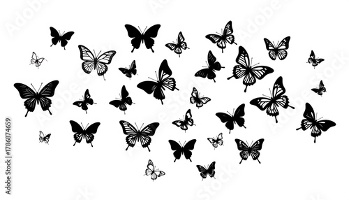 Elegant Black Butterfly Collection - A Delicate Dance of Natures Beauty.