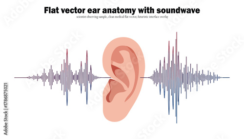 Illustration of a human ear with soundwaves emanating from it, showcasing anatomy and the concept of hearing.