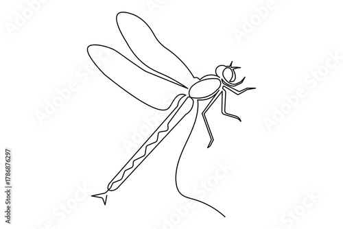 Continuous one line dragonfly minimalist art isolated outline