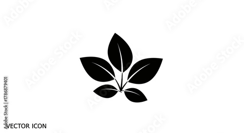 Leaf icon with transparent background