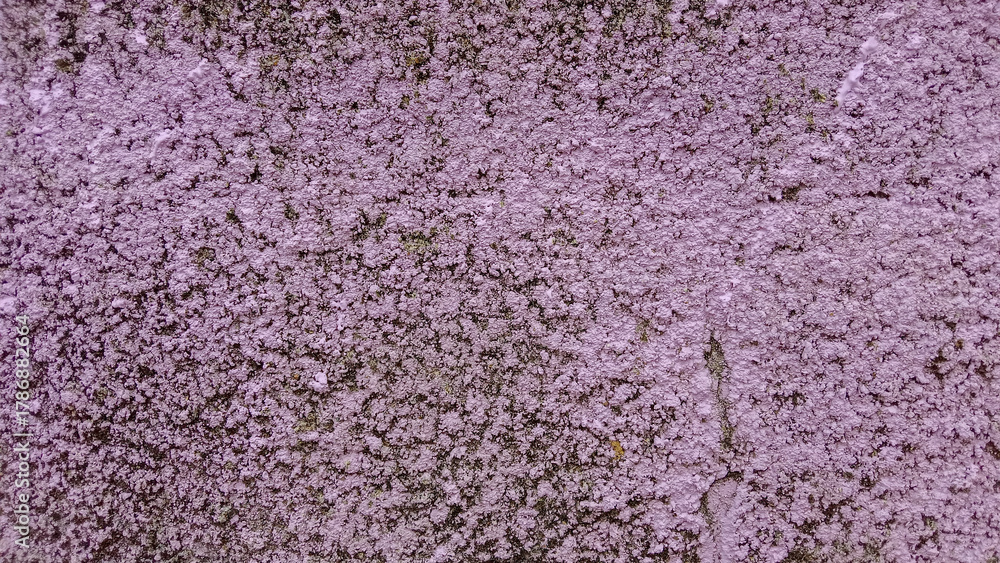 Obraz premium Close-up of an old painted purple concrete wall with rough texture, peeling paint, uneven and grungy surface for construction backgrounds.