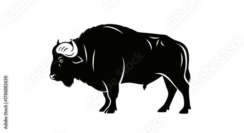 American bison portrait with transparent background