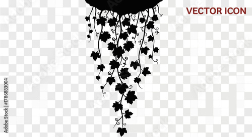 Ivy leaves hanging with transparent background
