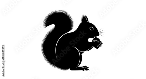 Squirrel eating nut with transparent background