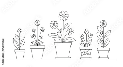 Minimalist line art illustration of five distinct potted plants with various flowers and foliage, arranged on a horizontal surface.