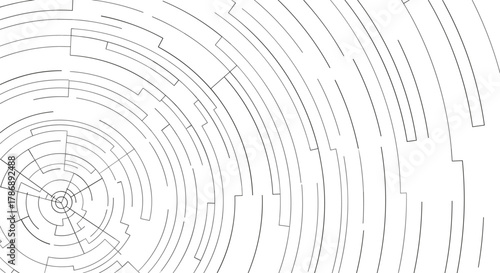 Abstract black and white circular maze pattern with fragmented concentric rings and radial lines emanating from a central point.