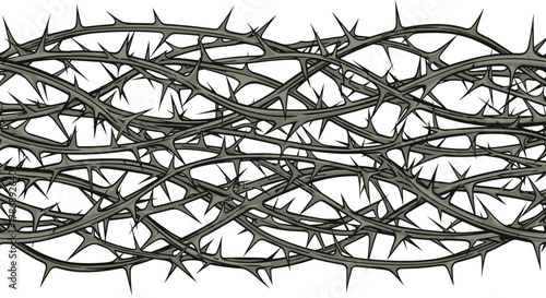 Intertwined branches with sharp thorns form a dense, spiky barrier, symbolizing pain, difficulty, or protective boundaries.