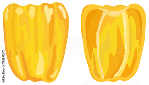 黄色のパプリカのイラスト 断面 ベクター素材