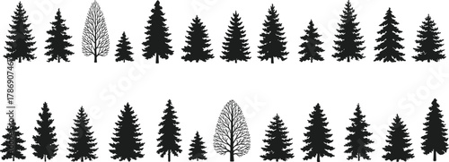 Silhouette illustration of pine and fir trees in forest landscape design, nature background vector for outdoor, environment and ecology themes