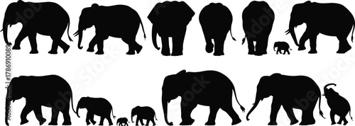 Silhouette of happy family standing together on grassy field at sunset, nature background with children, parents, flowers and love