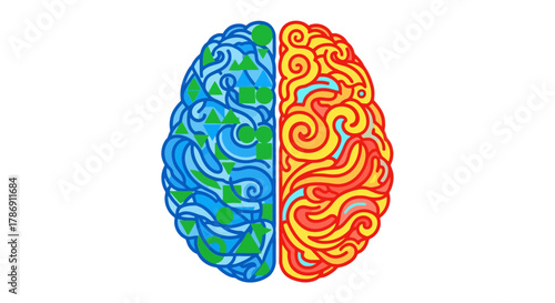 Creative Brain Halves Analytical Blue and Artistic Red Hemisphere Illustration for Cognitive Function