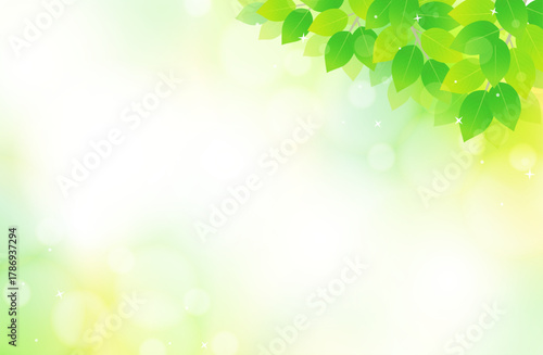 新緑の葉っぱとキラキラの爽やか背景イラスト素材　右上