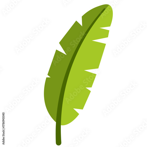 Bright green elongated leaf with prominent vein, ideal for summer, beach, or jungle-themed design compositions.