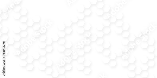 Abstract white hexagon concept soft white background, white and gray hexagon honeycomb geometric copy space, hexagonal grid tile and mosaic structure mess cell.