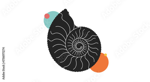 A stylized black nautilus shell, detailed with white internal lines, sits on a white background, accented by overlapping turquoise and orange circles.