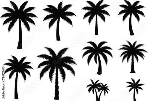 Palm Tree Silhouette Set – Stylized Black Tropical Trees in Varied Shapes and Frond Arrangements