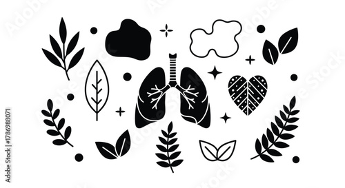 Healthy lungs and heart with nature elements, medical wellness concept