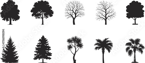 Tree silhouettes collection, deciduous trees, coniferous trees, palm trees, botanical diversity, forest illustration, nature design, foliage shapes, landscape elements, educational reference,
