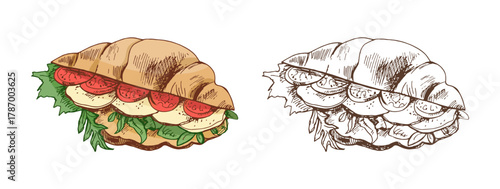 Hand drawn vintage croissant sandwich with tomato, cheese and lettuce, color and monochrome version, isolated vector illustration