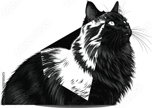 Black and white fluffy cat vector illustration, detailed domestic pet portrait, long haired feline drawing, elegant sitting cat design for art, print, and decor
