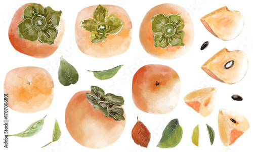 水彩風手描き柿のパーツ素材イラストセット