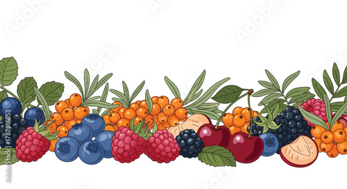 Vibrant assortment of fresh wild and garden berries with green leaves creating a decorative border on a white background.