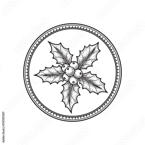 Holly Sprig Christmas Berries Botanical Engraving Vector Illustration