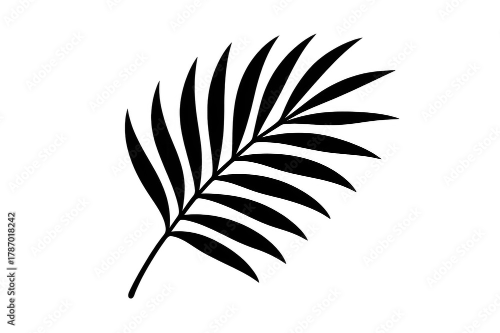 Obraz premium Black palm leaf silhouette creating tropical shadow effect, minimalist design vector illustration on transparent background