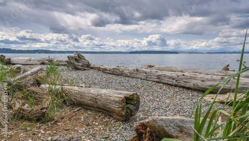 Photos A scenic landscape of a rocky beach on the Puget Sound in Washington, with large, weathered driftwood logs in the foreground under a dramatic cloudy sky