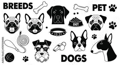 Dog breeds vector illustration set pet accessories and dogs faces
