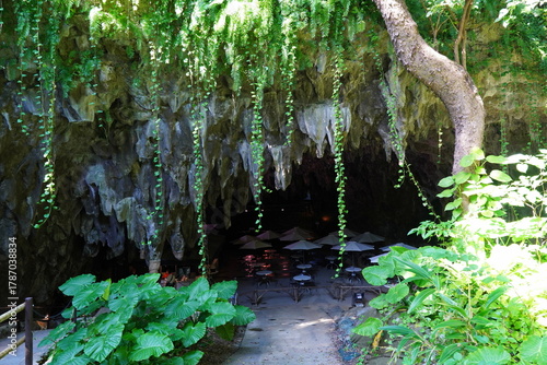 ガンガラーの谷・原生林景観