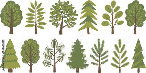 Stylized tree illustration collection, whimsical forest design, diverse foliage patterns, coniferous and broadleaf trees, educational nature art