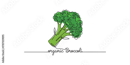 Minimalist one-line vector of a broccoli head with curly florets and a thick stalk, paired with elegant cursive “organic broccoli” lettering.  Perfect for organic food packaging, vegan branding