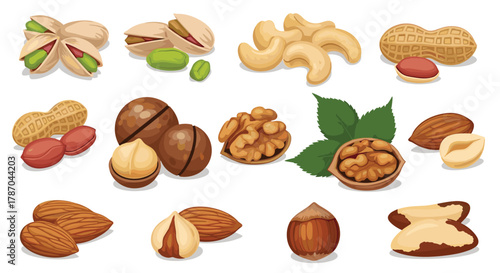 A vibrant collection of various nuts, including pistachios, cashews, walnuts, almonds, and peanuts, offering a healthy snack selection.