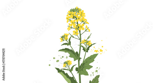 Vibrant illustration of a blooming yellow plant, possibly rapeseed or canola, with green leaves and artistic splatters, on a white background.