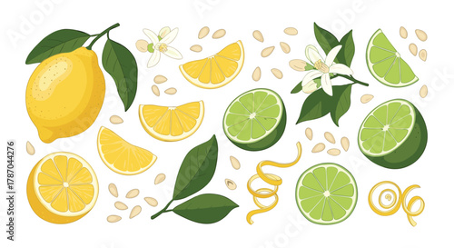 A diverse collection of fresh lemons and limes, showcasing whole fruits, vibrant slices, fragrant blossoms, green leaves, zest, and seeds on white.