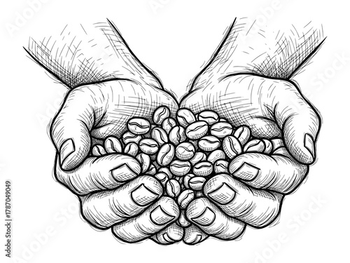 Hands Holding Coffee Beans in Fine Line Sketch. Vector Illustration for Artisanal Craftsmanship.