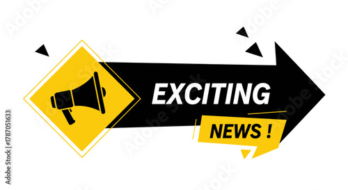 Announcing exciting news with megaphone for business success promotion