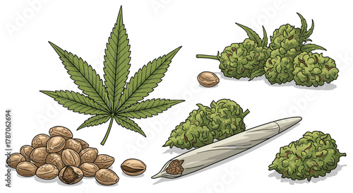 Cannabis plant parts and products, including a leaf, buds, seeds, and a joint, illustrating various forms of the popular plant.