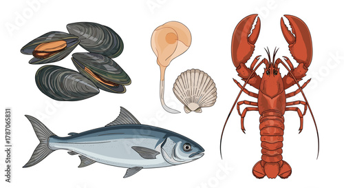 A collection of fresh seafood featuring a whole fish, steamed lobster, mussels, and various seashells on a white background.