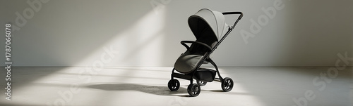 Modern Stroller Design: A s...
